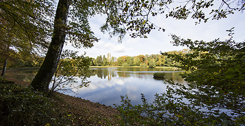 Ulrich Simons - Aachen,  Kupferbach-Stauweiher
